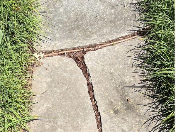 Stained flagstone pavers before pressure washing Raleigh NC