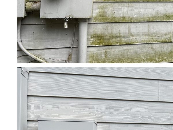 House siding mold before soft wash Raleigh NC