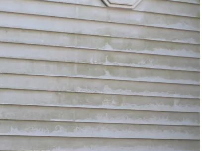 House siding algae before soft wash Apex NC
