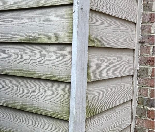 House siding covered in mold and algae before soft wash pressure washing in Raleigh NC