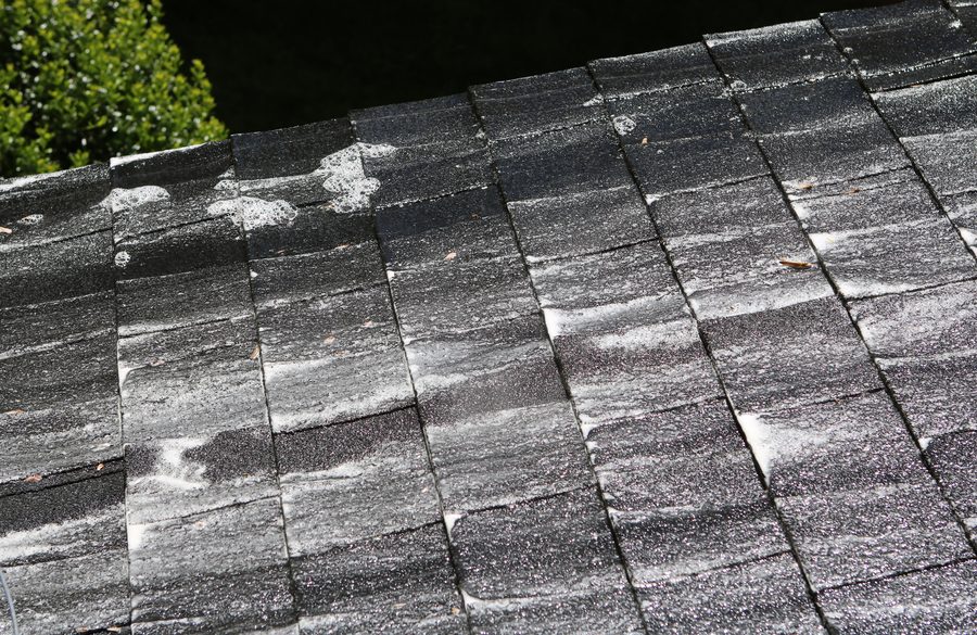 Roof soft wash treatment with cleaning solution running down shingles in Raleigh NC