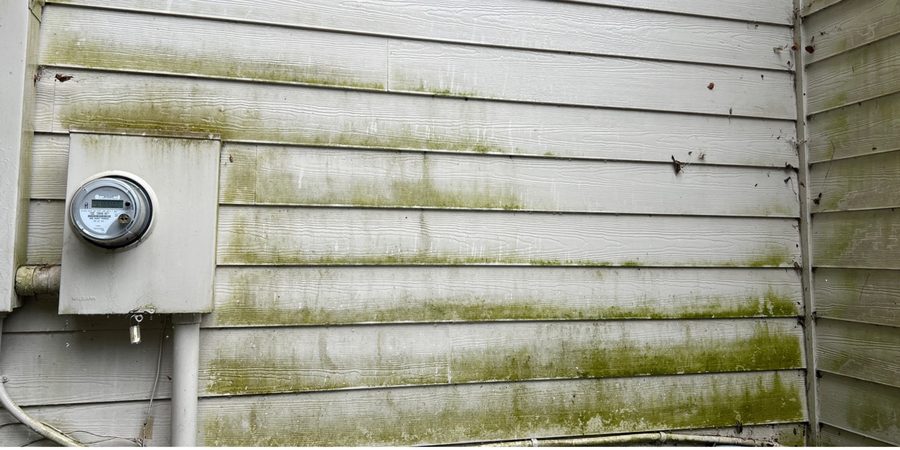 House siding with heavy green mold and algae before soft wash in Raleigh NC